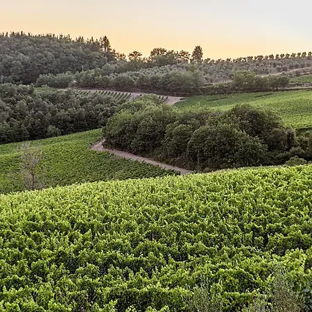 Farm stay Casa Al Bosco *