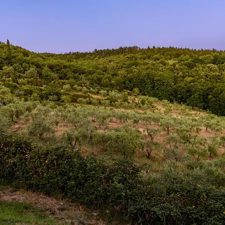 Farm stay Casa Al Bosco *