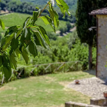Farm stay Casa Al Bosco *